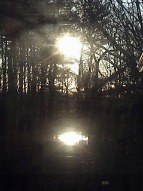 Light and Shadow Suppressed Feelings