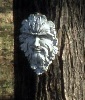 green man on tree green man on tree