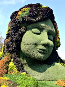 Grieving nature image